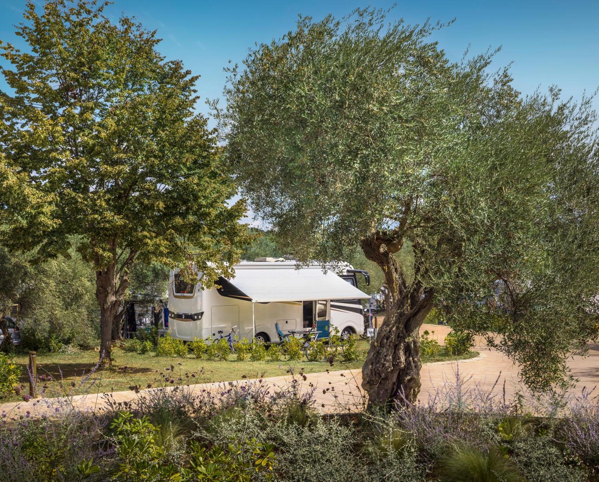 Maistra Camping Koversada Uncovered Naturist Pitches Vrsar Extérieur photo